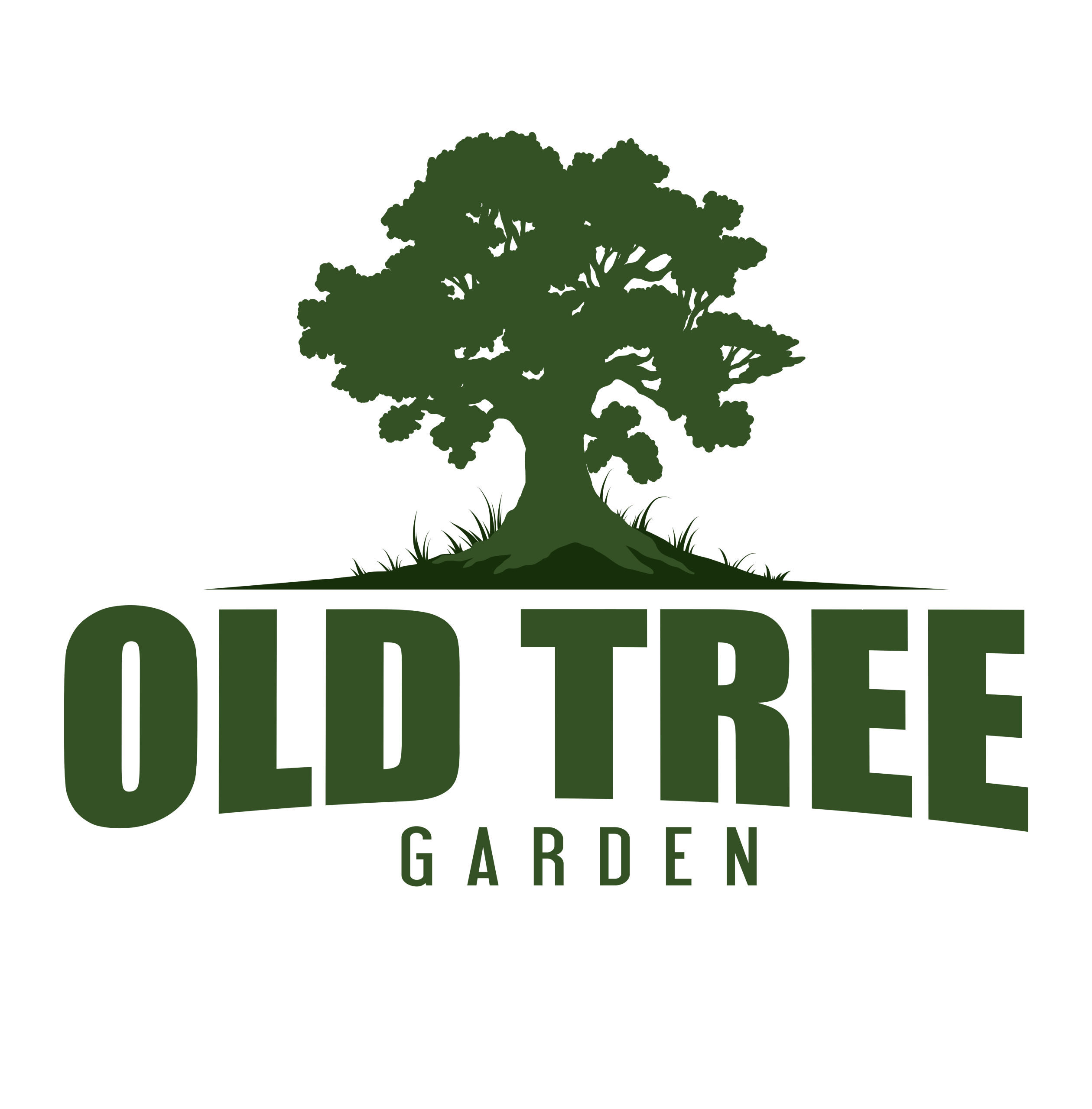 Old Tree Logo